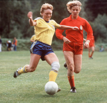 Susanne Erlandsson, Sverige