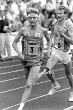 Martin Enholm, Sverige
