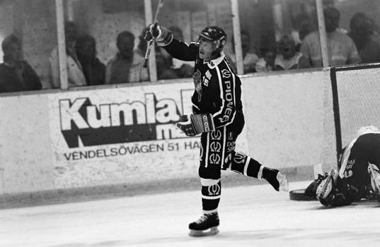 Anders Gozzi, AIK jublar