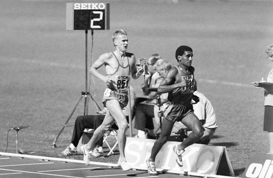 Mats Erixon, Sverige