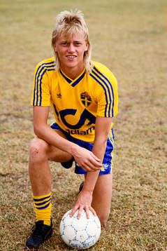 Patrik Sundström, Sverige