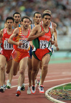 Ali Hakimi, Tunisien (1101), Fermin Cacho, Spanien (256)