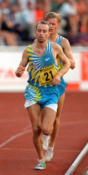 Stefan Wagnsson, Sverige